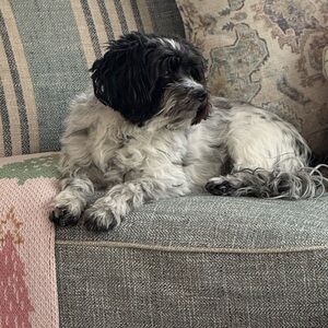 Unlisted Items TYSM 🩷